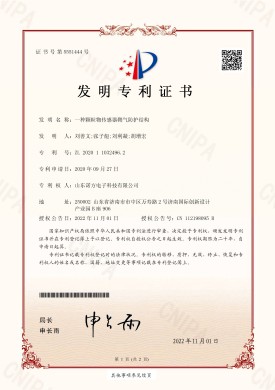 【NF-20-1-03】一種顆粒物傳感器鞘氣防護結(jié)構(gòu).jpg