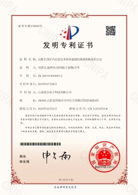 【NF-19-PCT-CN-17】出租車頂燈內(nèi)自清潔多核傳感器的隔離和恢復(fù)的方法.jpg