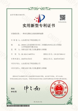 【NF24-2-01】一種雙光源粉塵濃度檢測傳感器-202420687570.1.jpg
